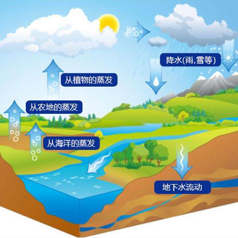 雨水收集系统实现雨水资源的使用-海绵雨水收集