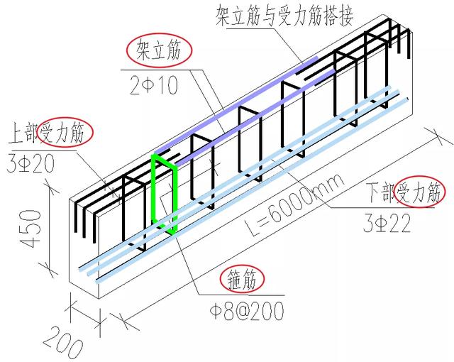 根据在结构中的作用,钢筋有哪些分类?