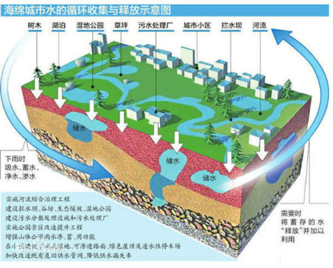 图片16
