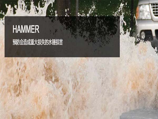 Hammer--水锤和瞬态分析软件