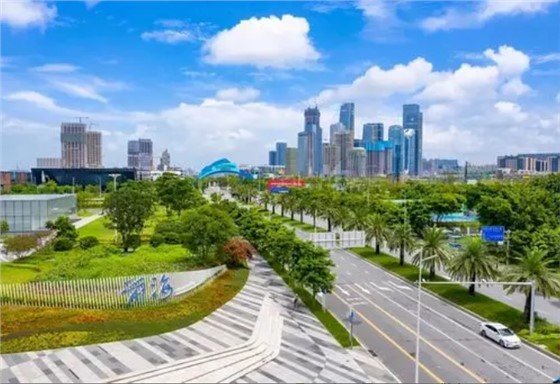 深圳滨海大道 深圳滨海大道