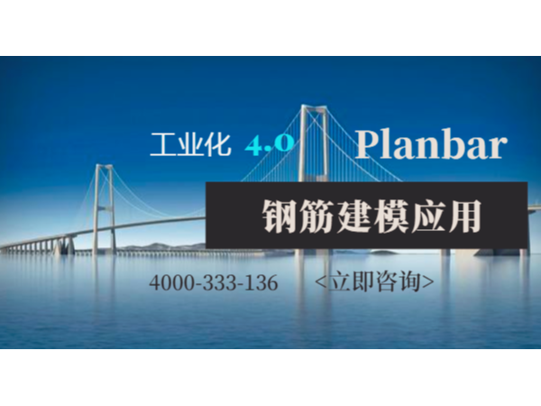 planbar在路桥、隧道方向钢筋建模的应用