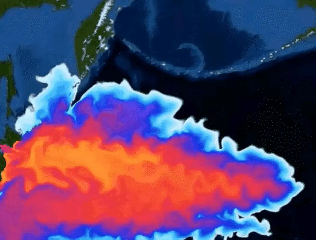 微信图片_20251208171230_38_16